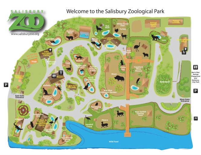 Featured image for Long Walks, Tired Feet: Zoo Layout and Accessibility Issues.