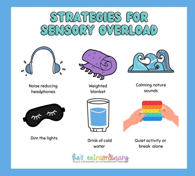 Featured image for Noise Overload, Overstimulated Children: Zoo Sensory Issues.