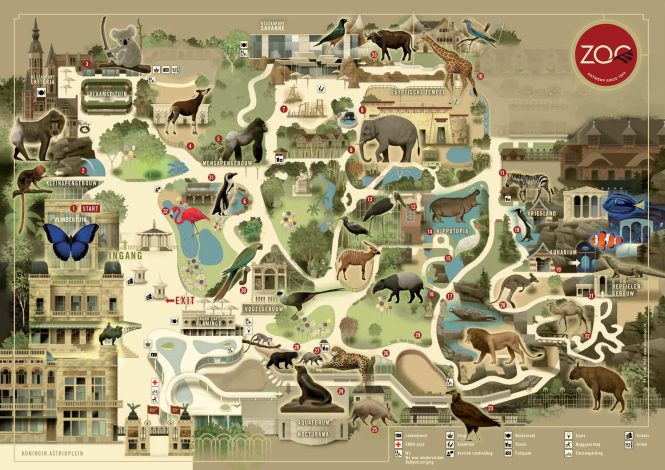Featured image for Confusing Maps, Lost Visitors: Navigating Zoo Layouts.