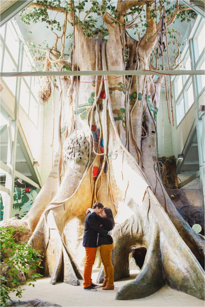 Featured image for Limited Interaction, Distant Animals: Zoo Engagement Concerns.