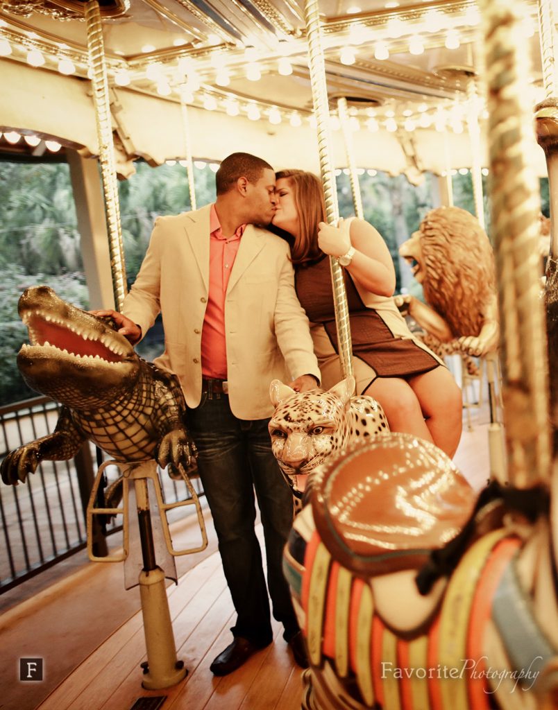 Content image for Limited Interaction, Distant Animals: Zoo Engagement Concerns.