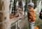 Featured image for Educational Value Questioned: Are Zoos Truly Informative?