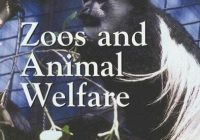 Featured image for Ethical Concerns, Uneasy Feelings: Animal Welfare in Zoos.