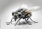 Featured image for Insect Issues, Annoying Pests: Dealing with Bugs at the Zoo.