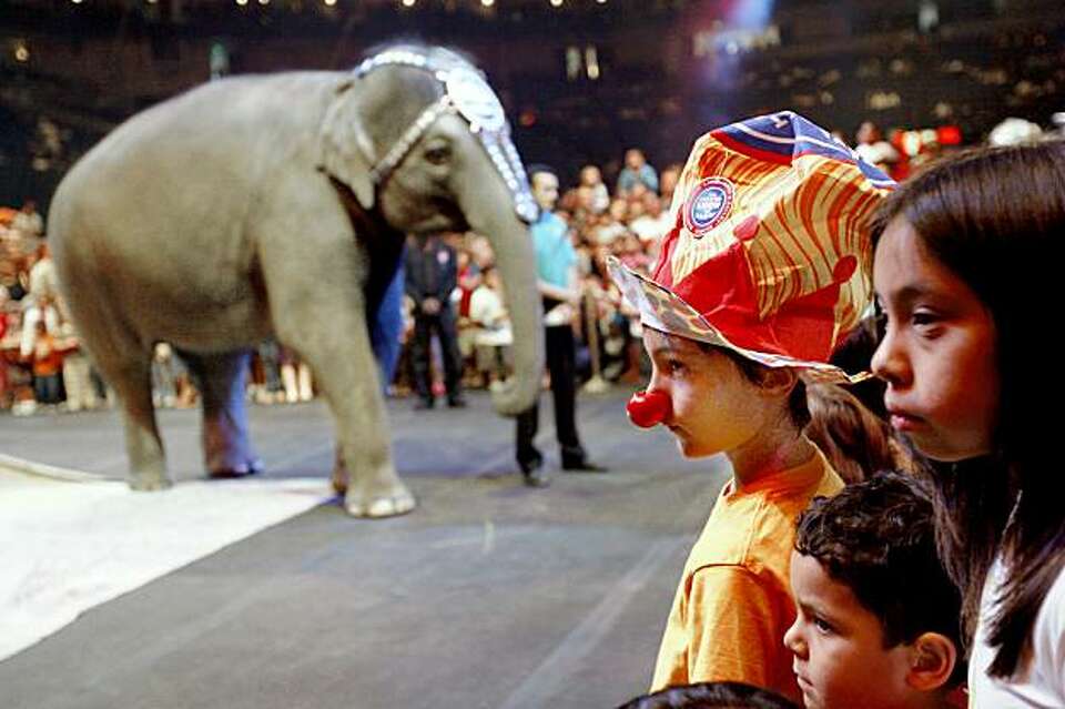 Content image for Disappointing Animal Shows, Underwhelming Performances.