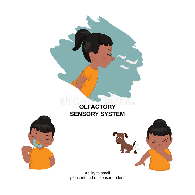 Content image for The Smell Factor, Unpleasant Odors: Zoo Sensory Experience.