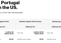 Featured image for Saving Money on International Calls with Verizon.