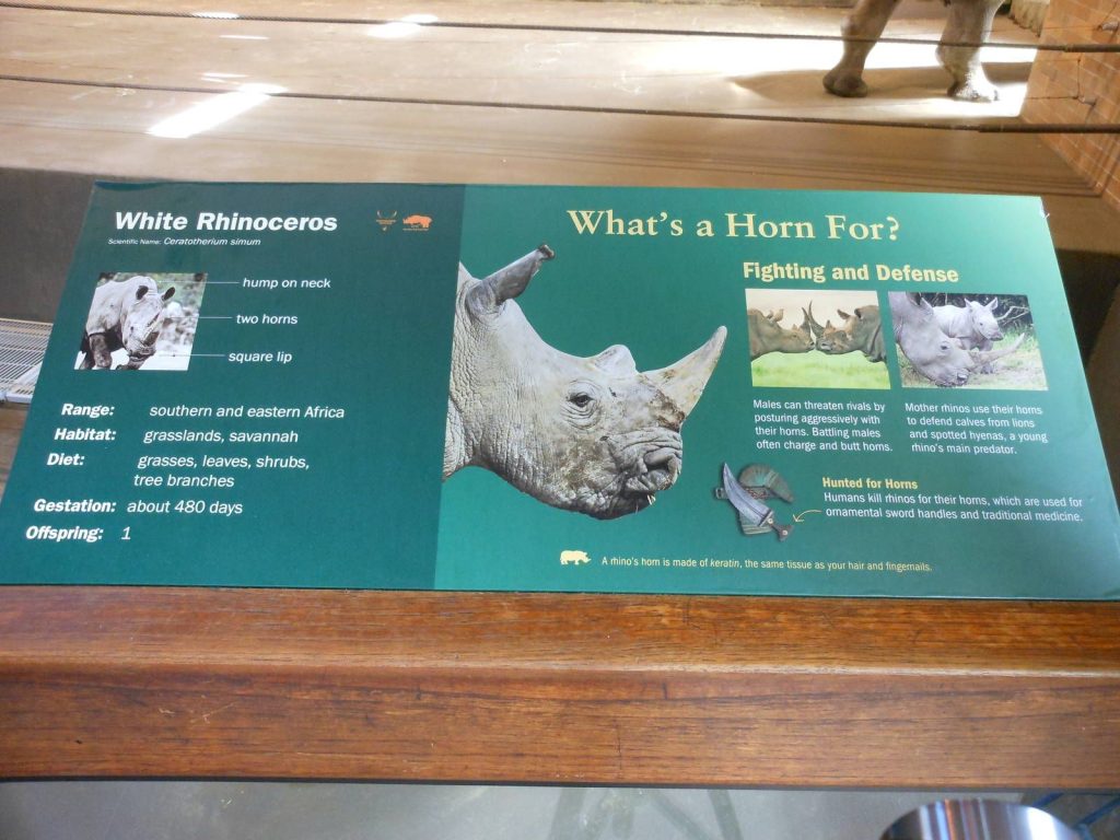 Content image for Lack of Information, Unanswered Questions: Zoo Signage.