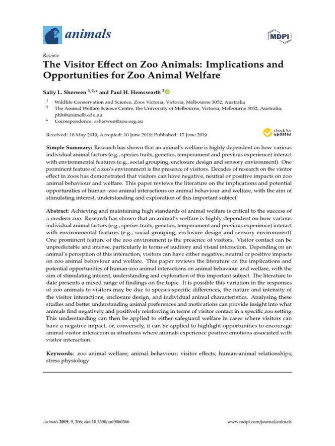 Featured image for The Impact of Zoo Visits on Animal Behavior.